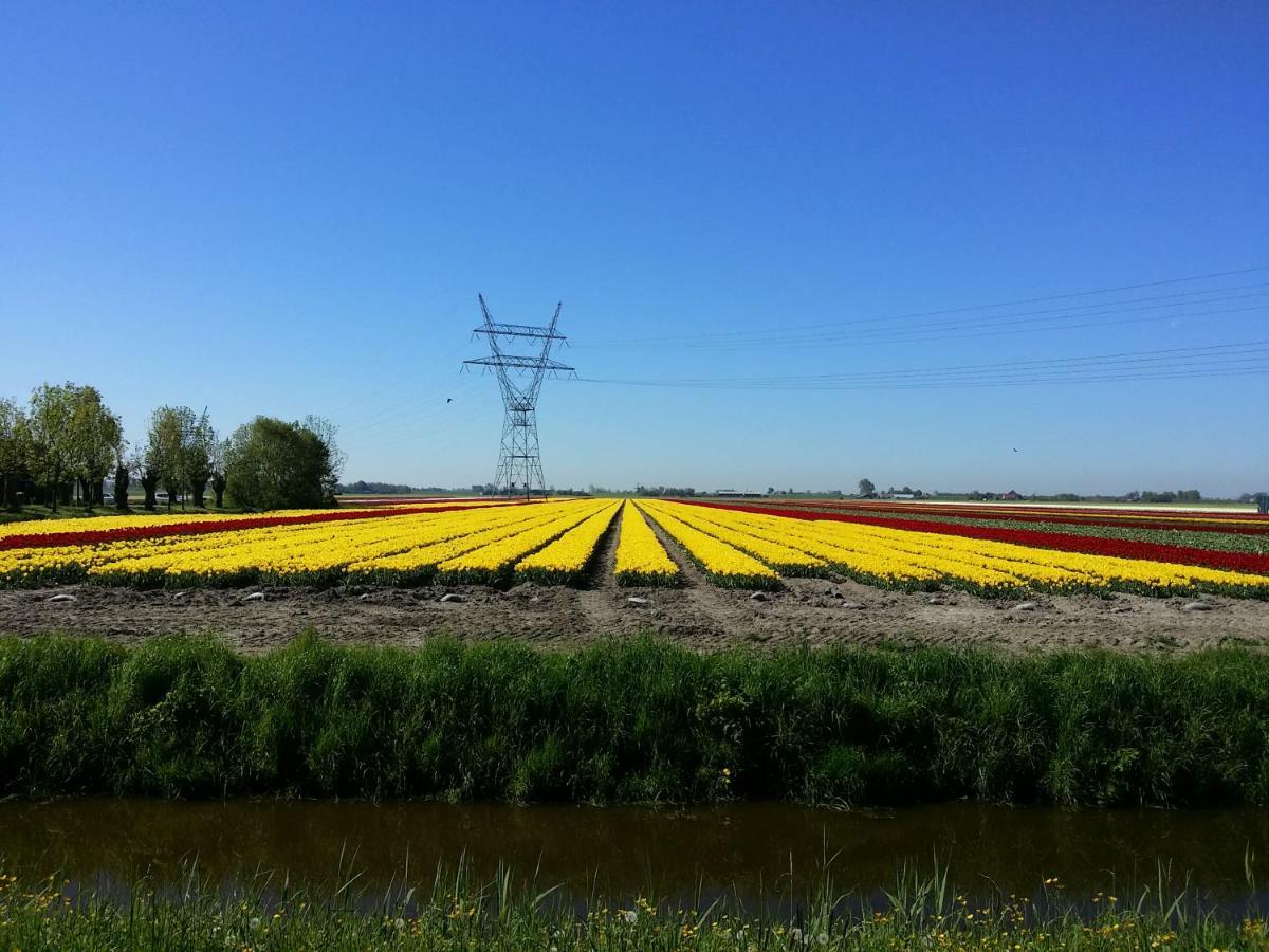 Gastenverblijf Bij De Molen Tussen Alkmaar En Hoorn Oterleek 외부 사진
