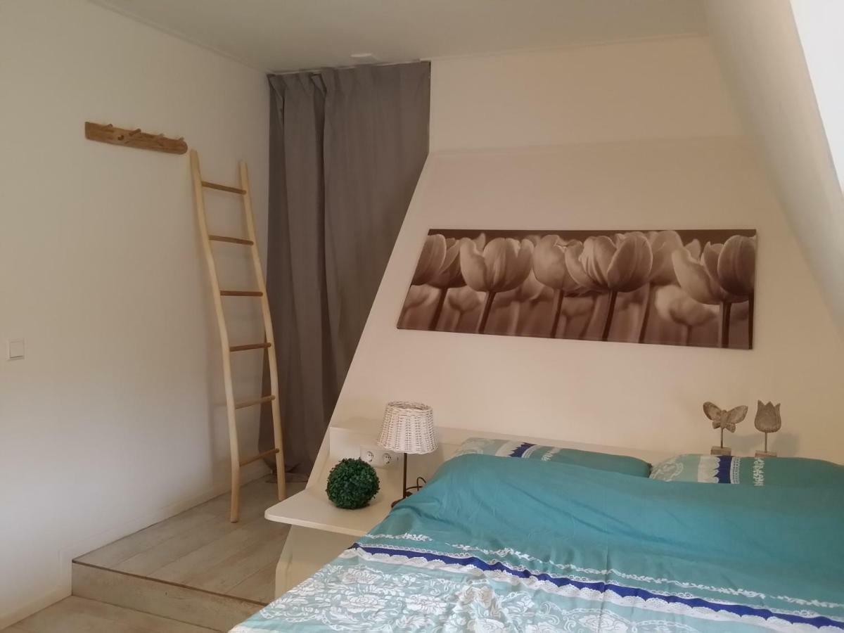 Gastenverblijf Bij De Molen Tussen Alkmaar En Hoorn Oterleek 외부 사진